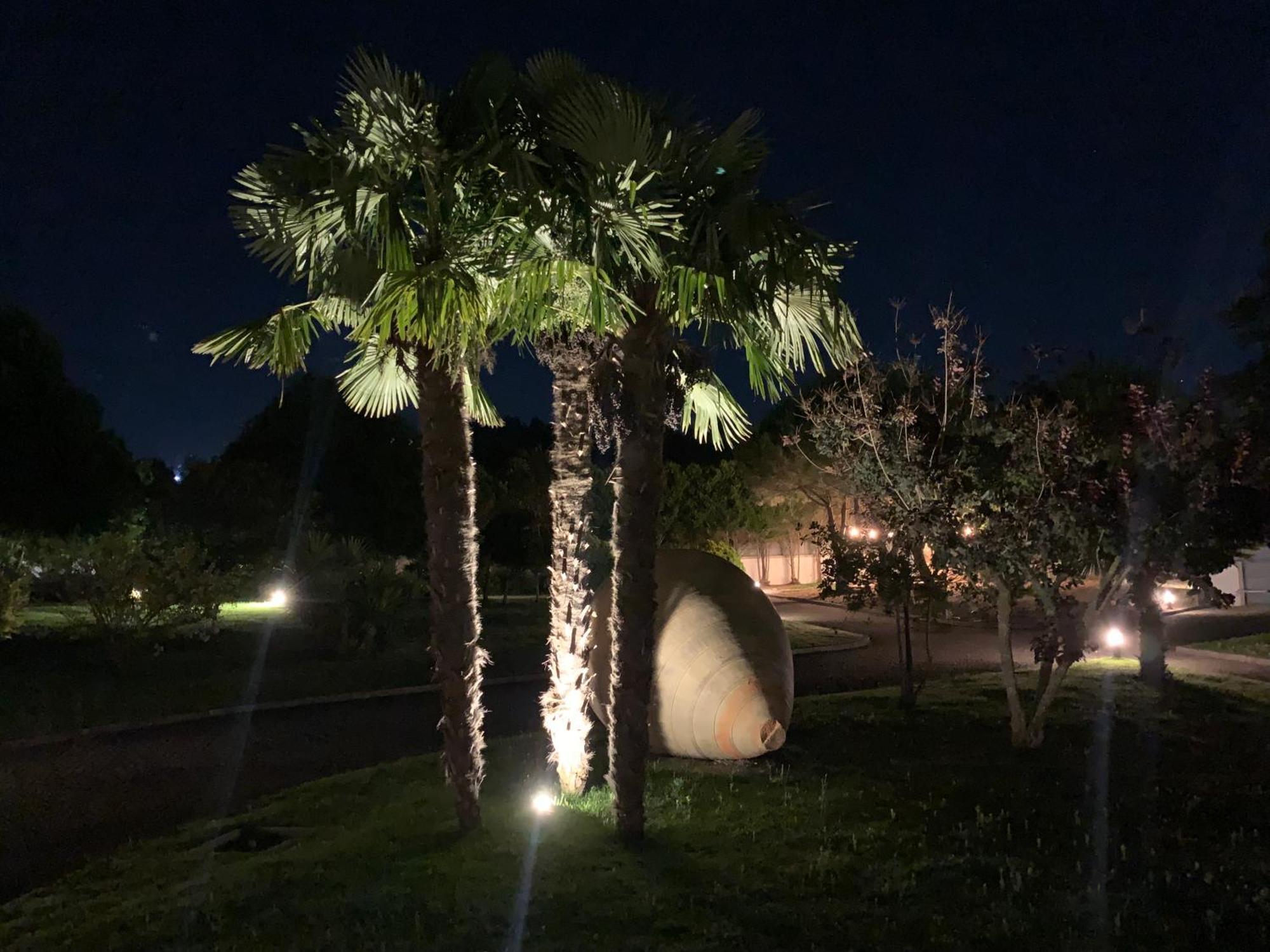Casa De Lamacais Vilela  エクステリア 写真
